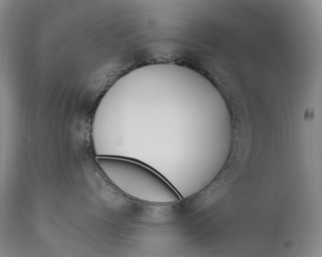 X0000111370768200907241245