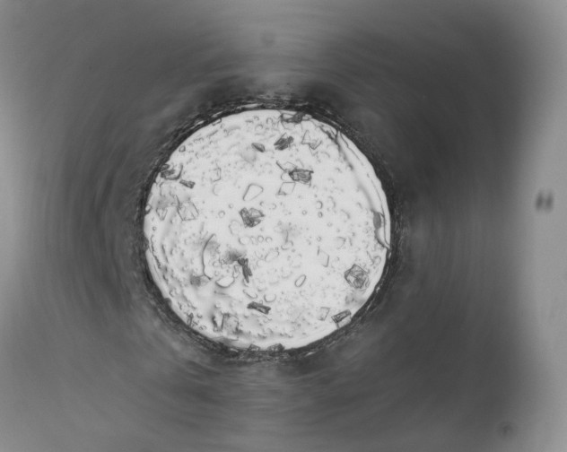 X0000111370769200907241245