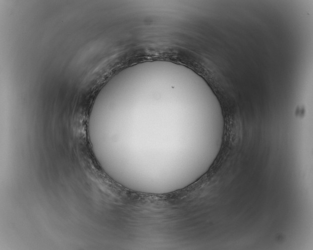 X0000111370770200907241245