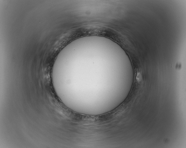 X0000111370771200907241245