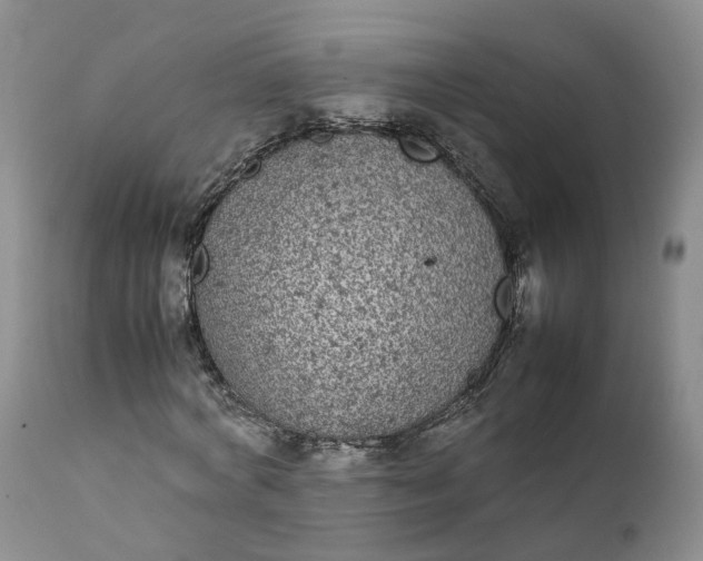 X0000111370772200907241245