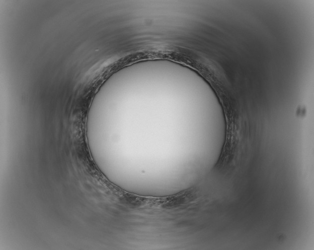 X0000111370773200907241245