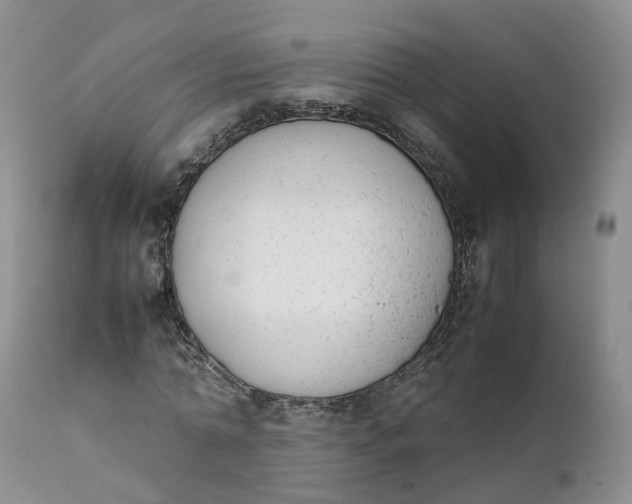 X0000111370774200907241245