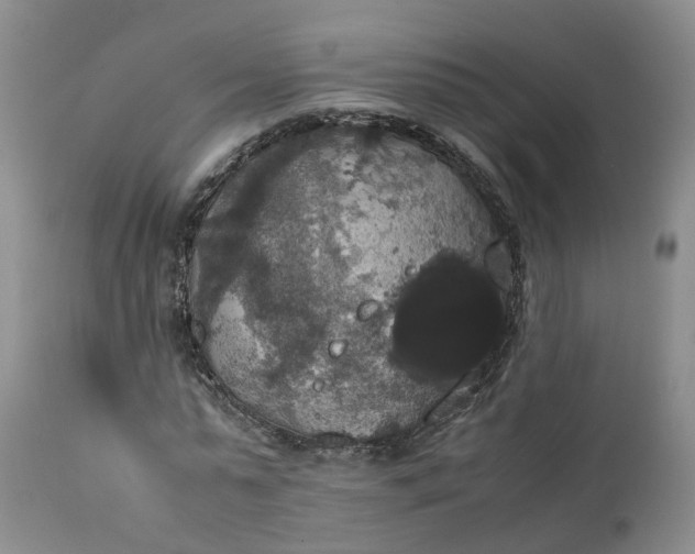 X0000111370775200907241245