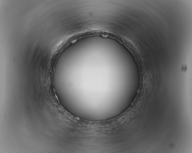 X0000111370776200907241245