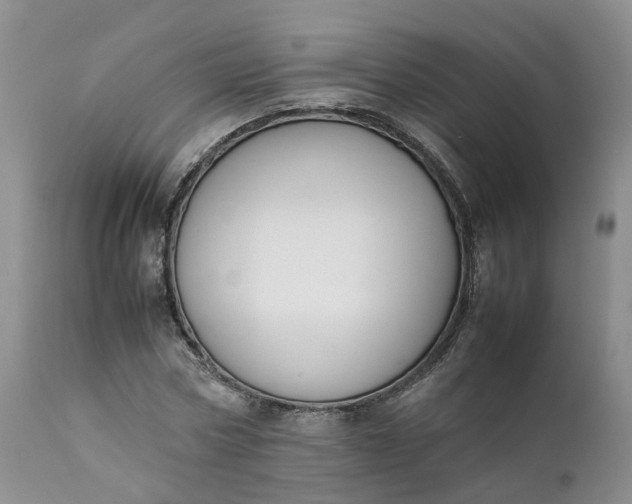 X0000111370778200907241245