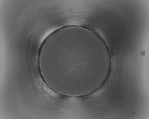 X0000111370779200907241245