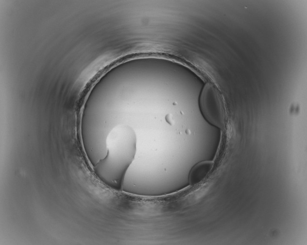 X0000111370781200907241245