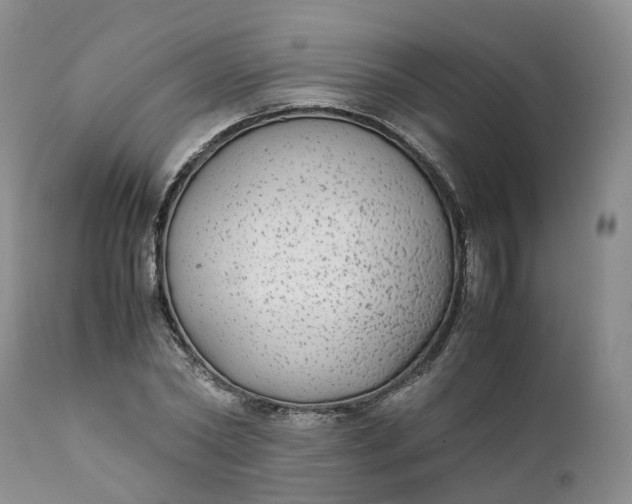 X0000111370782200907241245