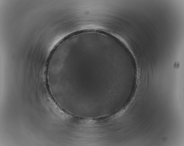 X0000111370783200907241245