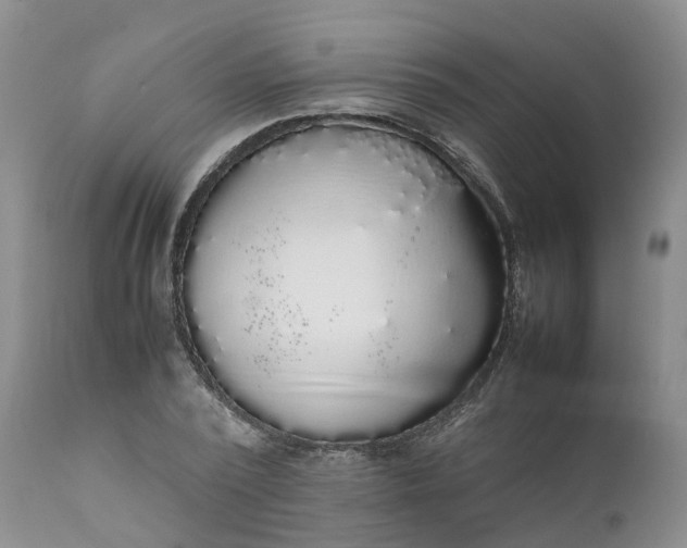 X0000111370784200907241245