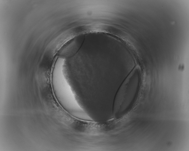 X0000111370785200907241245