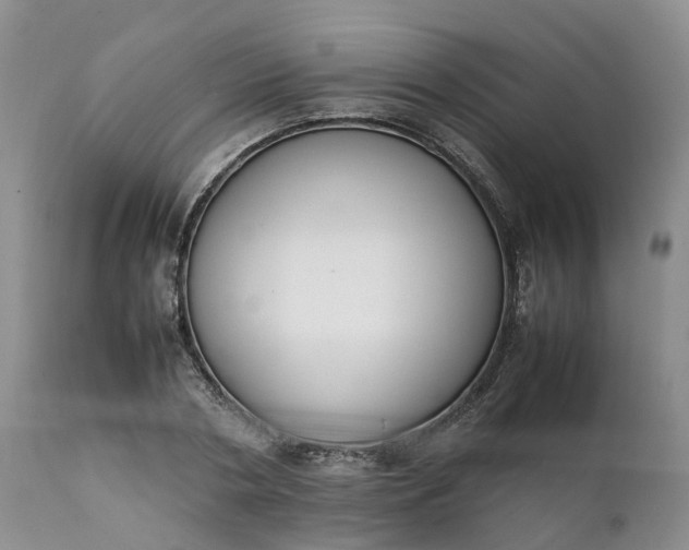 X0000111370786200907241245