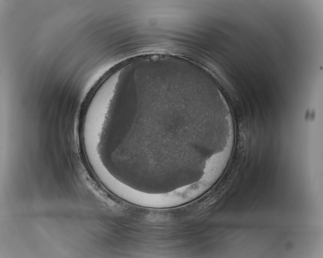 X0000111370788200907241245