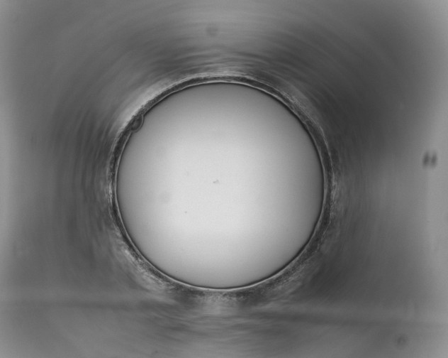 X0000111370789200907241245