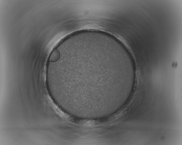 X0000111370791200907241244