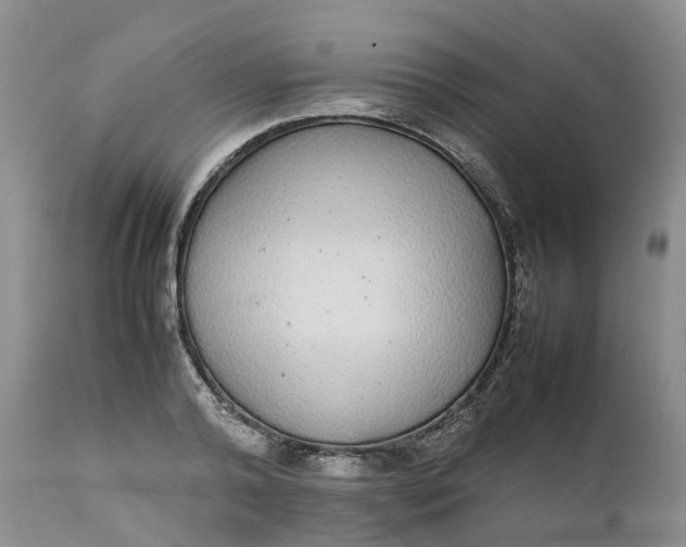 X0000111370792200907241244