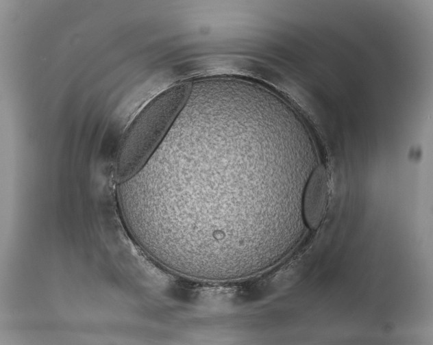 X0000111370793200907241244