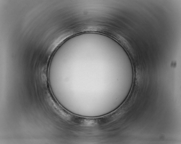 X0000111370794200907241244