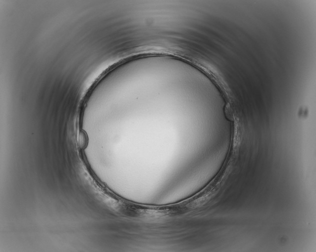 X0000111370796200907241244