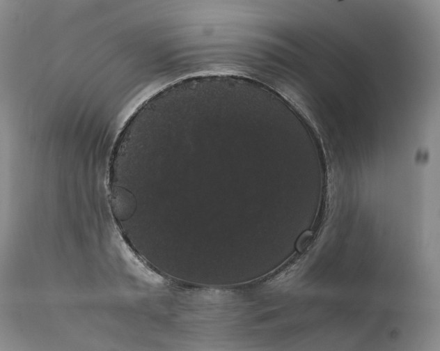 X0000111370797200907241244