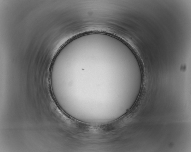 X0000111370799200907241244