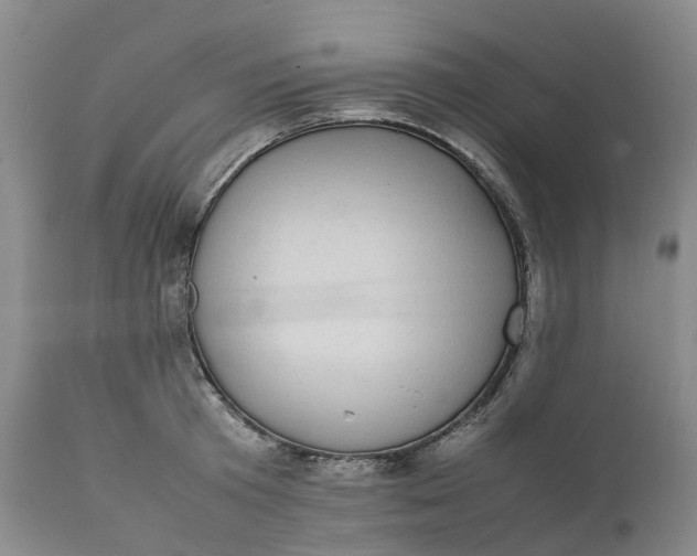 X0000111370801200907241244