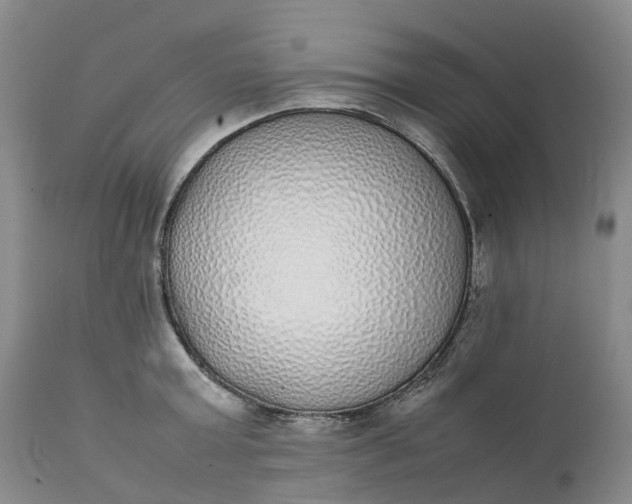 X0000111370803200907241244