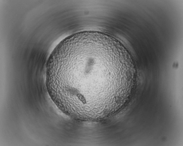 X0000111370804200907241244