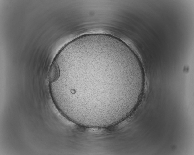 X0000111370805200907241244