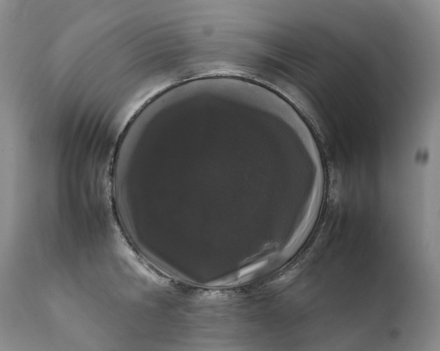 X0000111370806200907241244