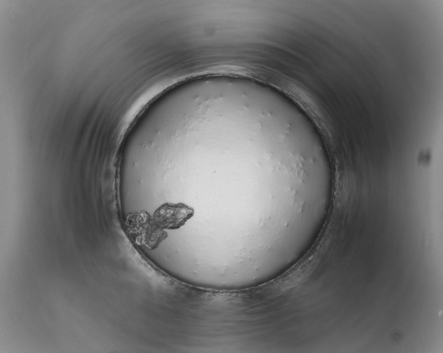 X0000111370808200907241244