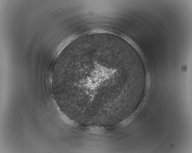 X0000111370809200907241244