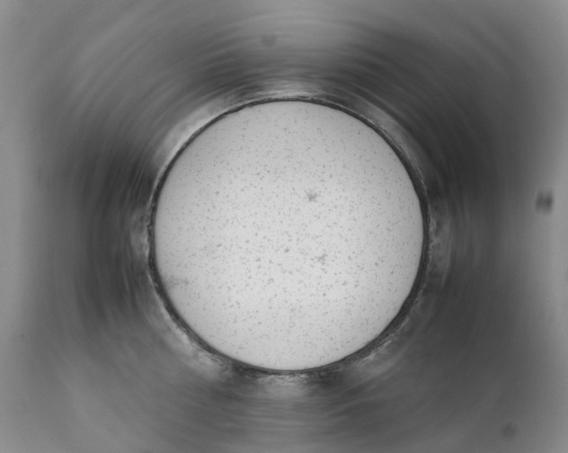 X0000111370810200907241244