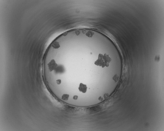 X0000111370811200907241244