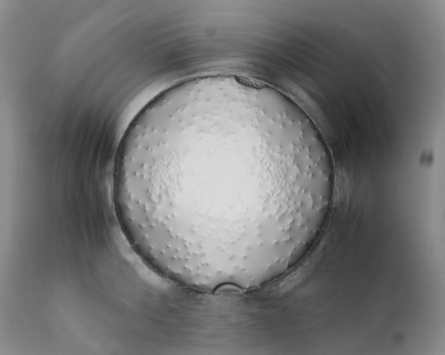 X0000111370812200907241244