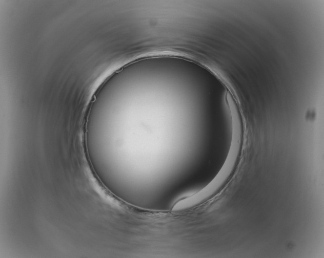 X0000111370813200907241244