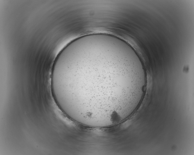 X0000111370814200907241244