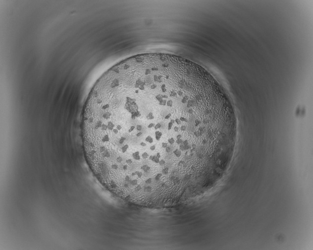 X0000111370816200907241244