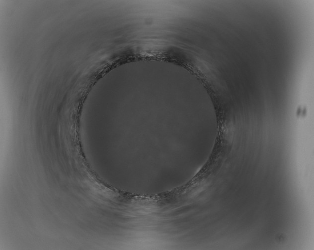 X0000111370817200907241243