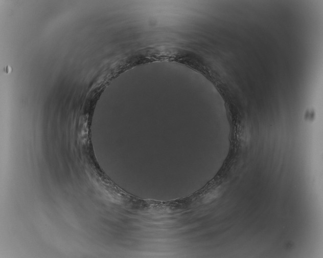 X0000111370818200907241243