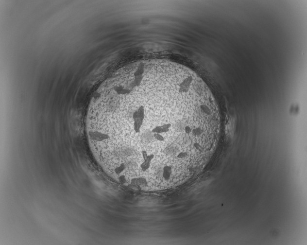 X0000111370819200907241244