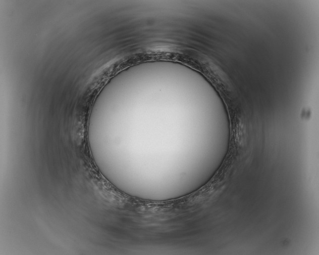 X0000111370821200907241244