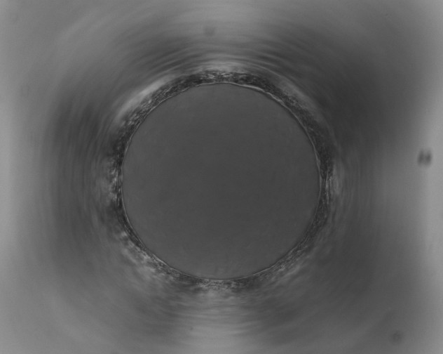 X0000111370822200907241244