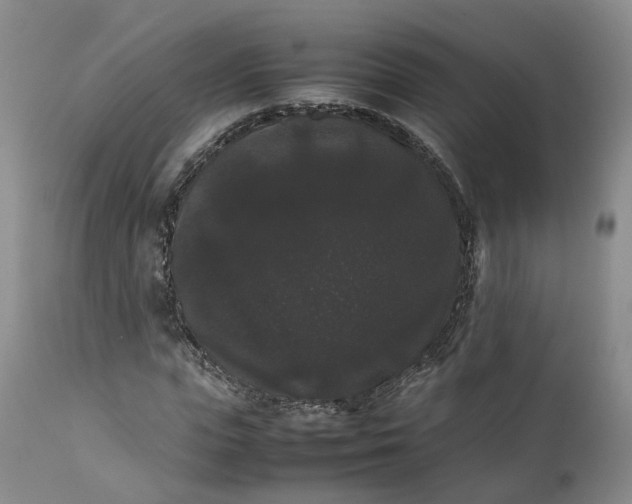 X0000111370823200907241244