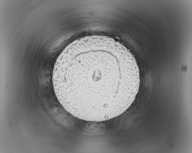 X0000111370824200907241244