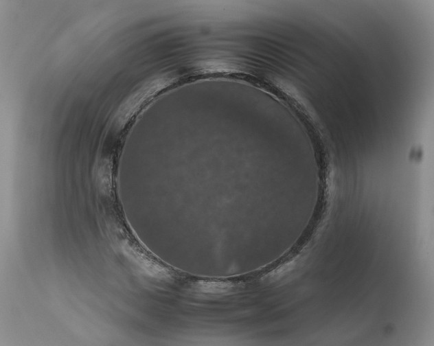 X0000111370825200907241244