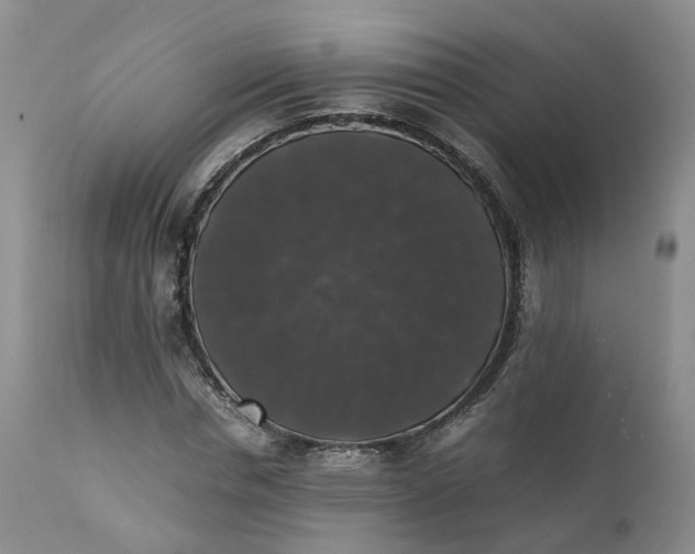 X0000111370826200907241244