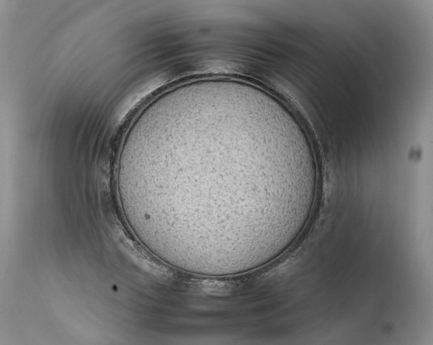 X0000111370827200907241244