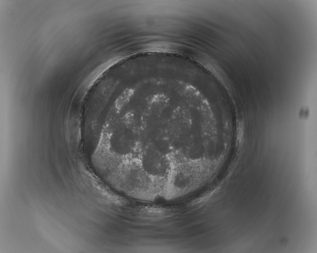 X0000111370829200907241244